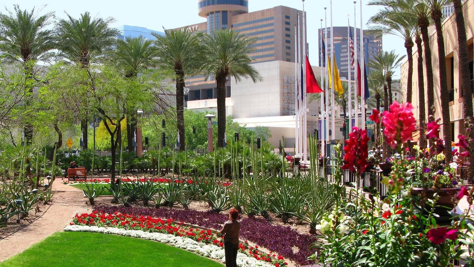 Hotel Hampton Inn Phoenix - Biltmore