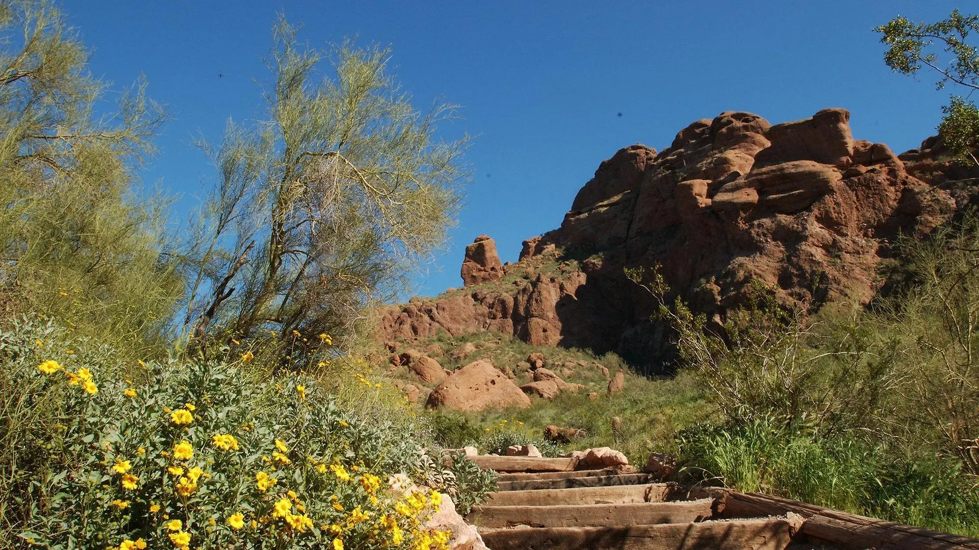 Hampton Inn Phoenix - Biltmore