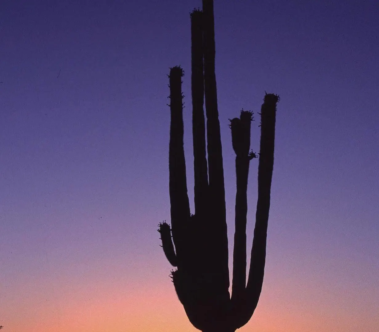 Hampton Inn Phoenix - Biltmore 3*,  United States